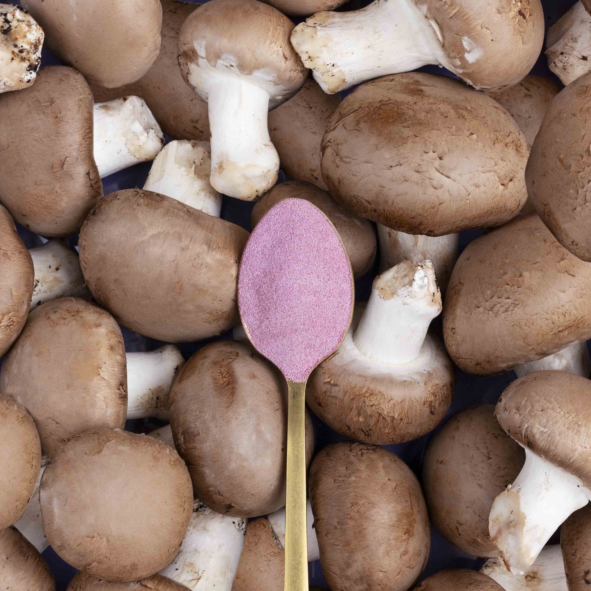 COLLAGEN IMMUNE PLUS - Vild Nord